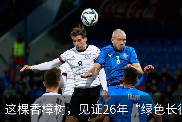 这棵香樟树，见证26年“绿色长征”